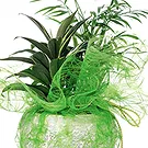 Vignone flowers  -  Composition of Green Plants Flower Bouquet/Arrangement