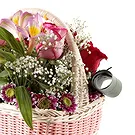 Florence kvety- Košík ruží a alstroemeria Aranžovanie kytice