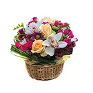 Italy flowers  -  Basket of Orchids and Roses Flower Bouquet/Arrangement