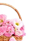 Italy flowers  -  Basket of Pink Roses for Birth Flower Bouquet/Arrangement
