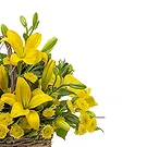 fiorista fiori di Firenze- Composizione di girasoli e fiori gialli Bouquet floreale