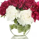 Italy flowers  -  White and Pink Peonies Composition in Vase Flower Bouquet/Arrangement
