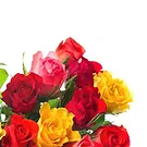 Italy flowers  -  Heart-Shaped Composition with Colorful Roses Flower Bouquet/Arrangement