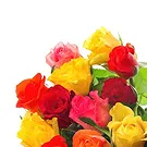 Italy flowers  -  Heart-Shaped Composition with Colorful Roses Flower Bouquet/Arrangement