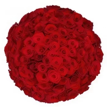 Groningen blomster- 100 røde roser via Blomsterhandleren Blomst buket/Arrangement