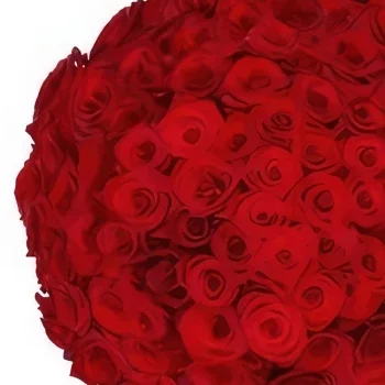 Amsterdam bunga- 100 mawar merah melalui Florist Rangkaian bunga karangan bunga