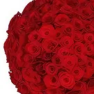 Amsterdam-Zuidoost flowers  -  100 red roses via the Florist Flower Bouquet/Arrangement