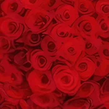 Rotterdam blomster- 100 røde roser via Blomsterhandleren Blomst buket/Arrangement