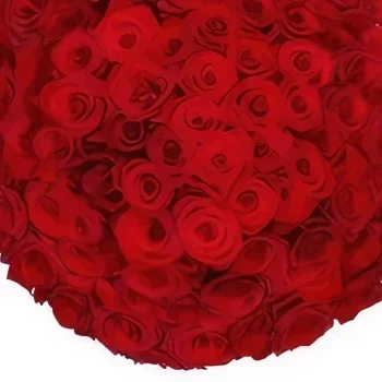 fleuriste fleurs de La Haye- 100 roses rouges via le Fleuriste Bouquet/Arrangement floral