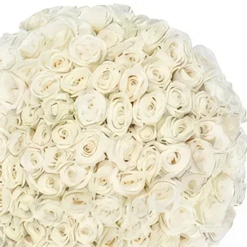 רוטרדם פרחים- אהבה לבנה זר פרחים/סידור פרחים