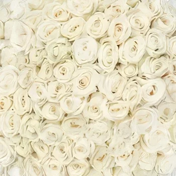 Ρότερνταμ λουλούδια- Λευκή Αγάπη Μπουκέτο/ρύθμιση λουλουδιών