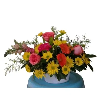 Barbados flowers  -  Birthday Bloom  Flower Delivery