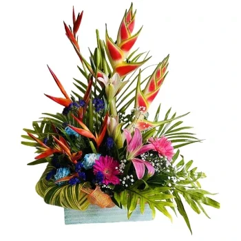 Barbados blomster- Glad harmoni Blomst Levering