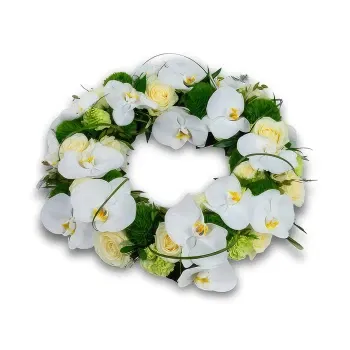 Rotterdam flowers - Orchid Remembrance