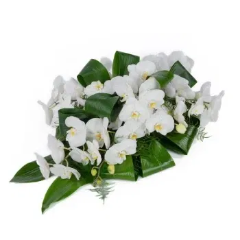 Holland flowers  -  White funeral arrangement orchid Flower Delivery