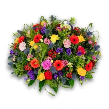 Rotterdam flowers - Rainbow Tribute