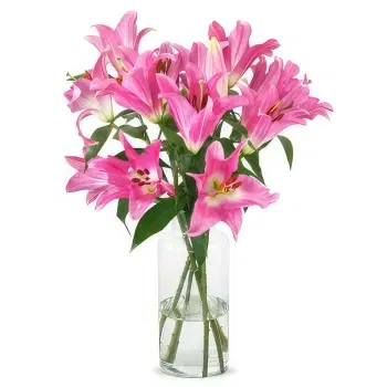 Holland flowers  -  Soft Color Flower Delivery