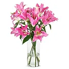 Tilburg Blumen Florist- Weiche Farbe Bouquet/Blumenschmuck
