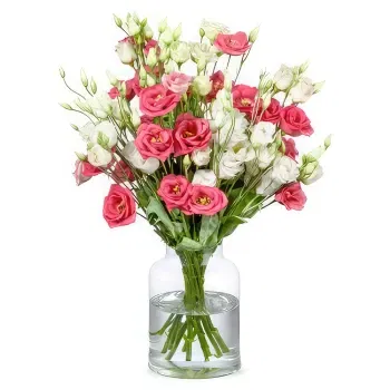 Holland flowers  -  Bouquet Colette Flower Delivery