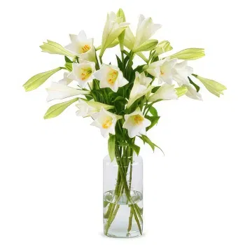Holland flowers  -  Lilies - White Heaven Lilies Flower Delivery