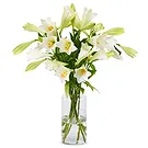 Maastricht Blumen Florist- Lilien - Weiße Himmelslilien Bouquet/Blumenschmuck