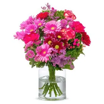 Holland flowers  -  All Pink Flower Delivery