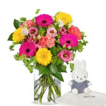 Holland flowers  -  Cheerful flowers + Miffy Delivery