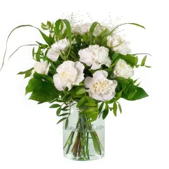 Holland flowers  -  Bouquet of white carnations Flower Delivery