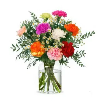 Holland flowers  -  Happy Carnations Flower Delivery