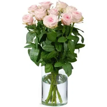 Holland flowers  -  Soft Blush Flower Delivery