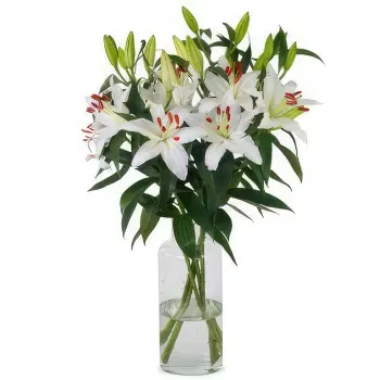 Holland flowers  -  Pure Elegance Flower Delivery