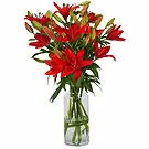 Amsterdam-Zuidoost flowers  -  New Day Flower Bouquet/Arrangement