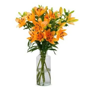 Holland flowers  -  Good Day Flower Delivery