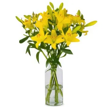 Holland flowers  -  Limelight Flower Delivery