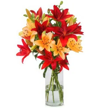 Holland flowers  -  Red Gift Flower Delivery