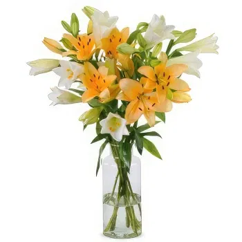 Holland flowers  -  Charming  Collection Flower Delivery