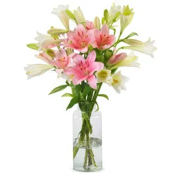 Holland flowers  -  Charming Start Flower Delivery