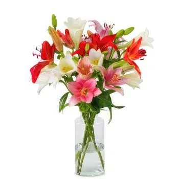 Holland flowers  -  Lilies - Fancy mix Flower Delivery