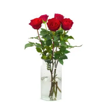 Holland flowers  -  Luxury Gift Flower Delivery