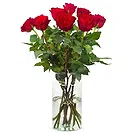 Amsterdam-Zuidoost flowers  -  10 red roses | Grower Flower Bouquet/Arrangement