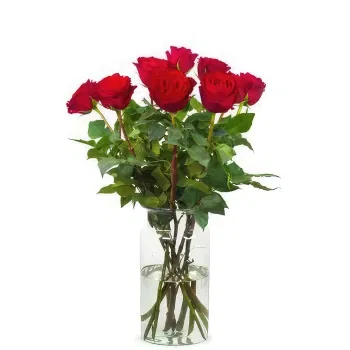 Holland flowers  -  10 red roses | Grower Flower Delivery
