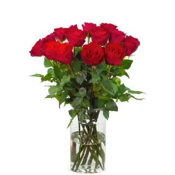 Holland flowers  -  15 red roses | Grower Flower Delivery