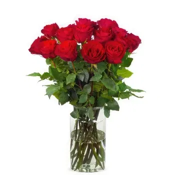 Holland flowers  -  20 red roses | Grower Flower Delivery