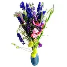Ouled Maaref flowers  -  Bluebird Flower Bouquet/Arrangement