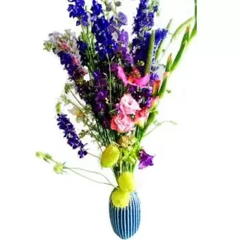 Bir Ghbalou λουλούδια- Bluebird Λουλούδι Παράδοση