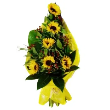 Algarvia kukat- Keltainen Mellow