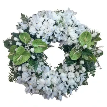 アルガルビア 花- ホワイトトランキリティ