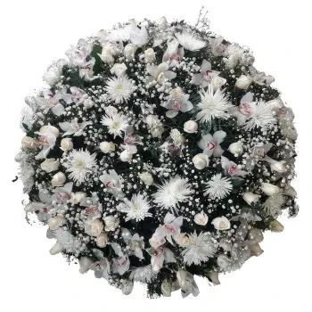 アルガルビア 花- 穏やかな美しさ