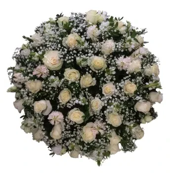 fleuriste fleurs de Algarvia- Rose Tendre