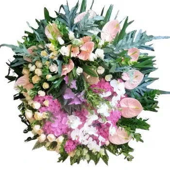 אלגרביה פרחים- אור נצחי